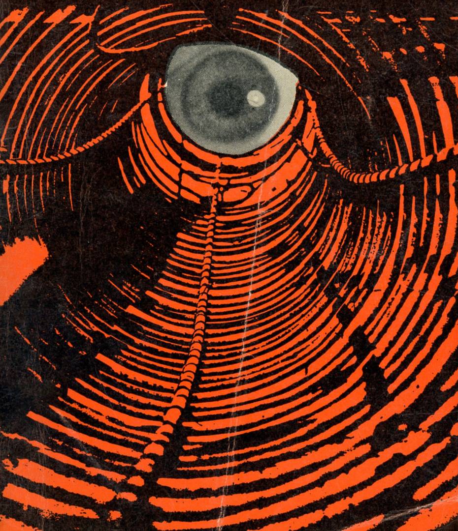 Иллюстрация с обложки романа «1984» Джорджа Оруэлла издательства Penguin Books. 1961