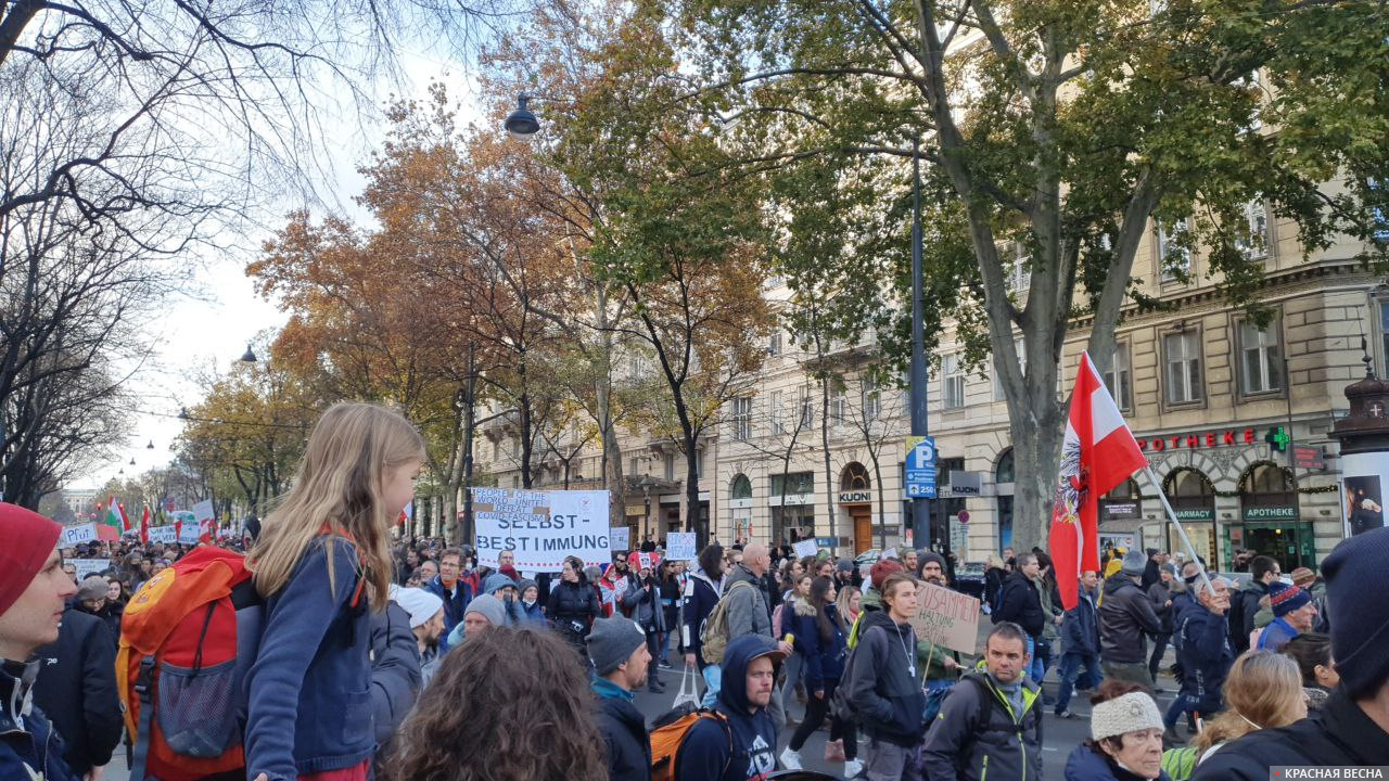 Демонстрация протеста 20 ноября на венском Ринге (Вена, Австрия)