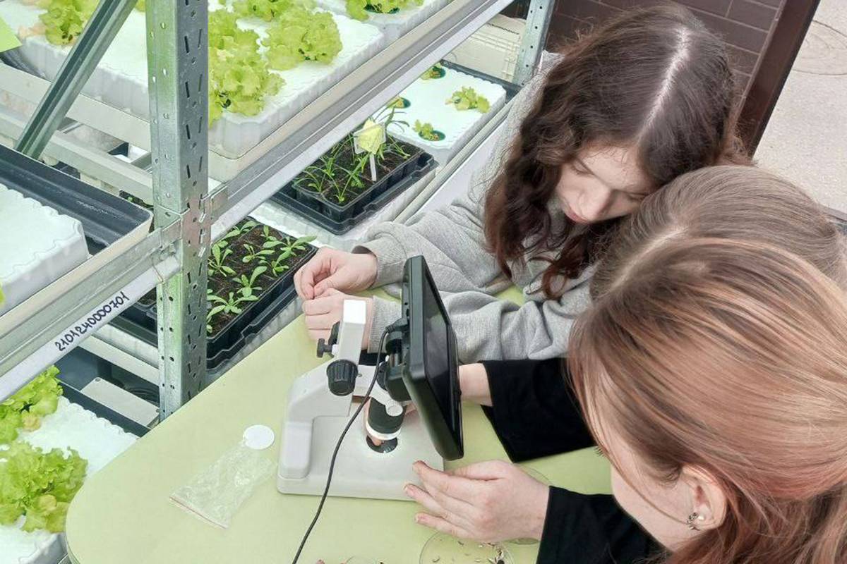 Ученики Школы будущего проводят исследования