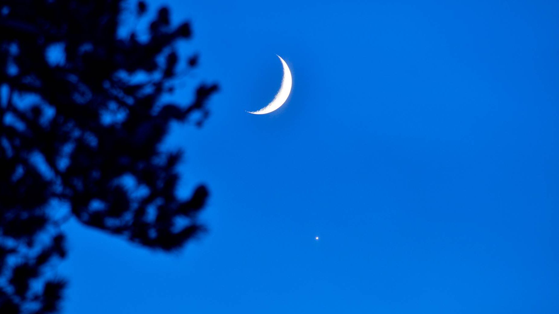  Луна и Венера