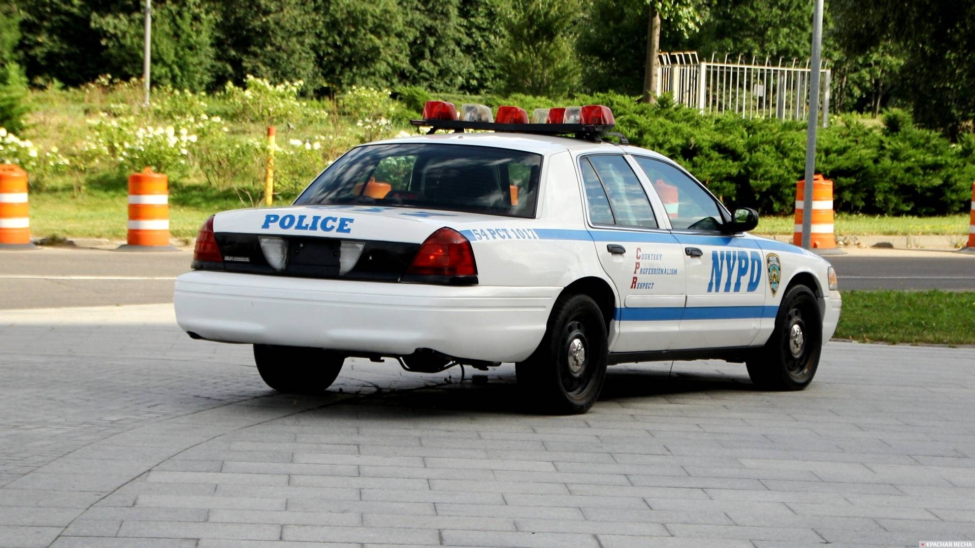 Полиция Нью Йорка