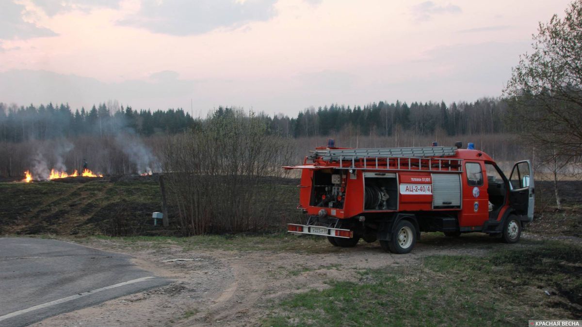 Пожар в лесу