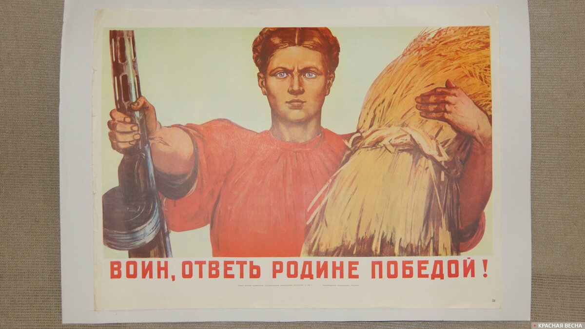 Плакат «Воин, ответь Родине победой!». Воронеж, 29 декабря 2022 года
