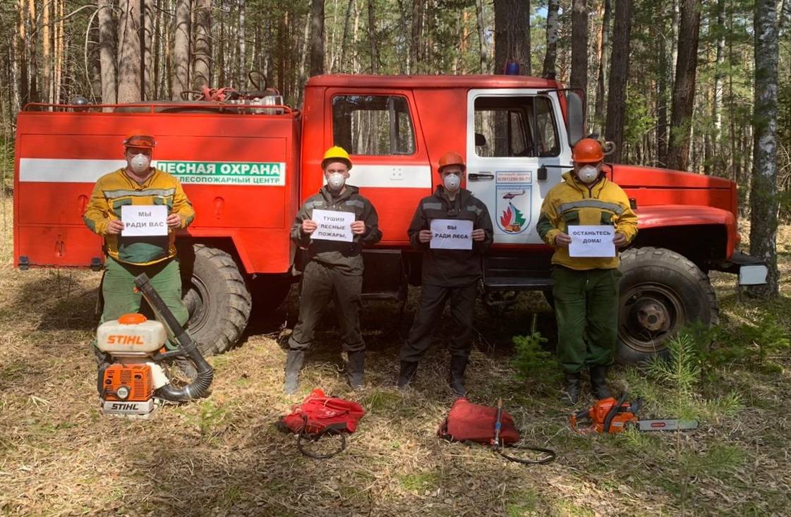 Лесопожарный центр красноярск карта лесных пожаров