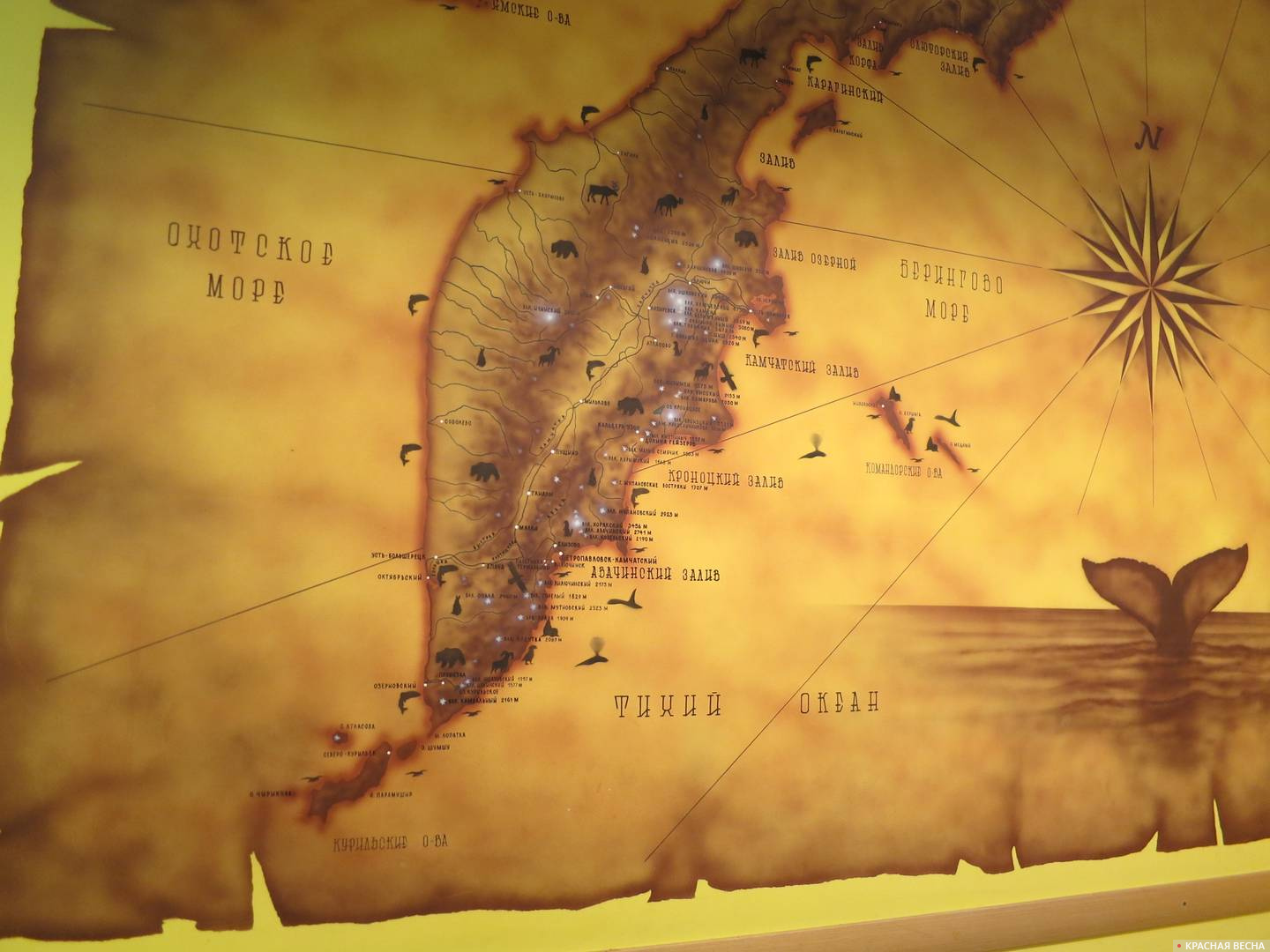 Карта полуострова Камчатка. Центр и юг.