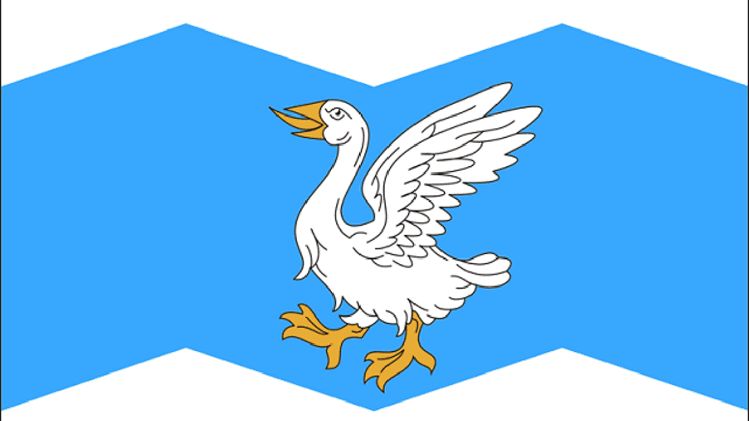 Флаг Шадринского района