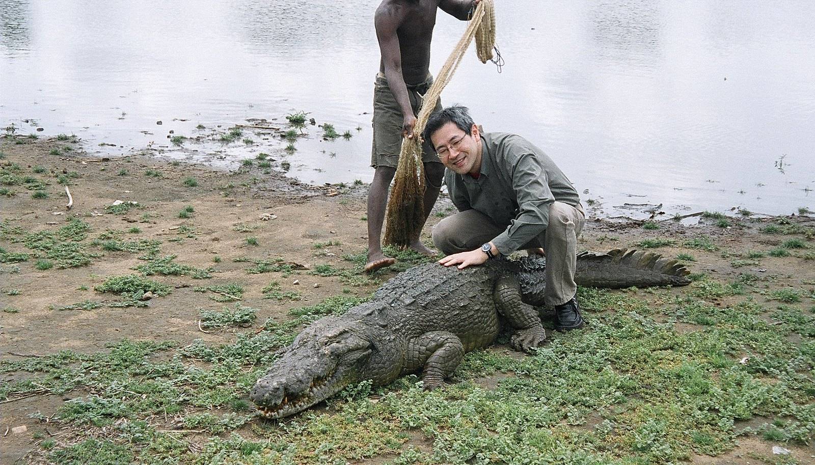 Ловля крокодилов. Ловля крокодилов в России.