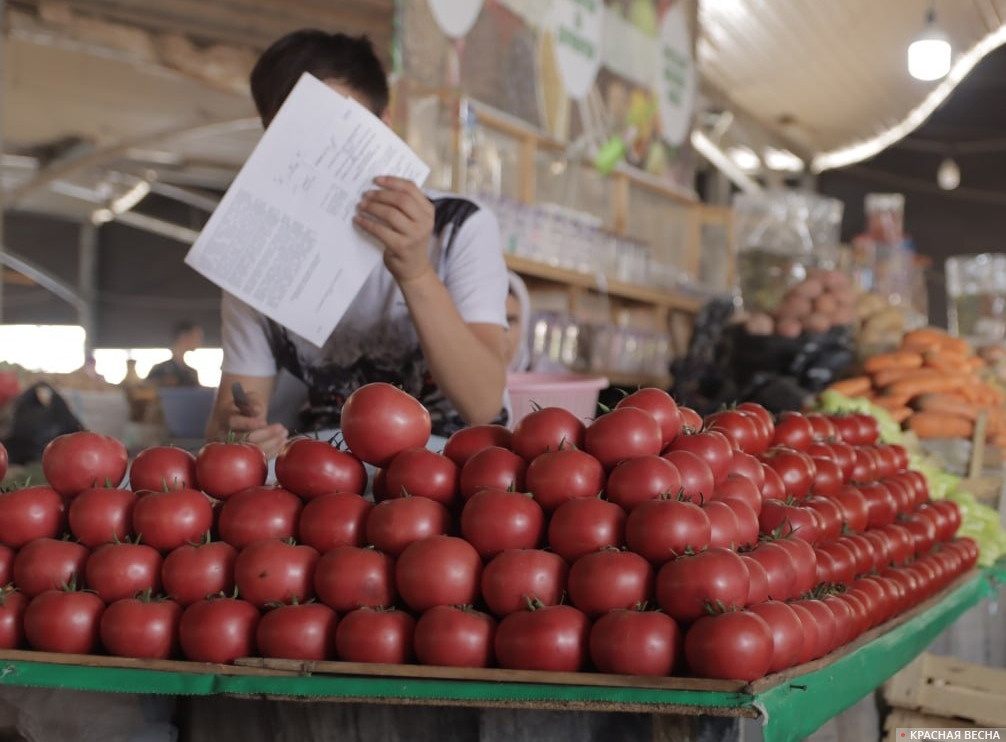 Продавец помидоров в Ташкенте