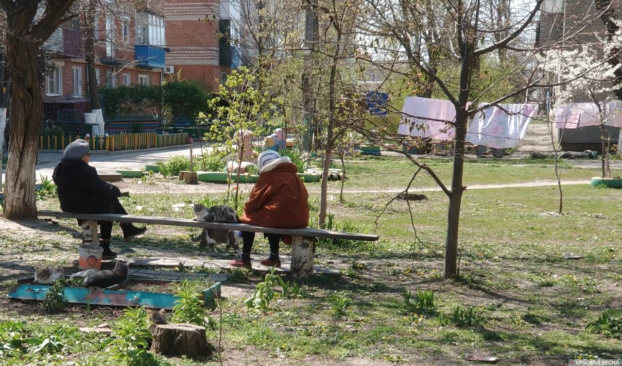 Ейск. Пенсионеры во дворе дома в компании кошек.