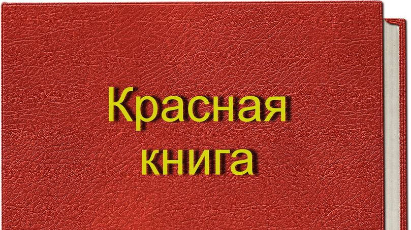 Красная книга