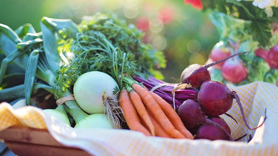 Сельскохозяйственная продукция