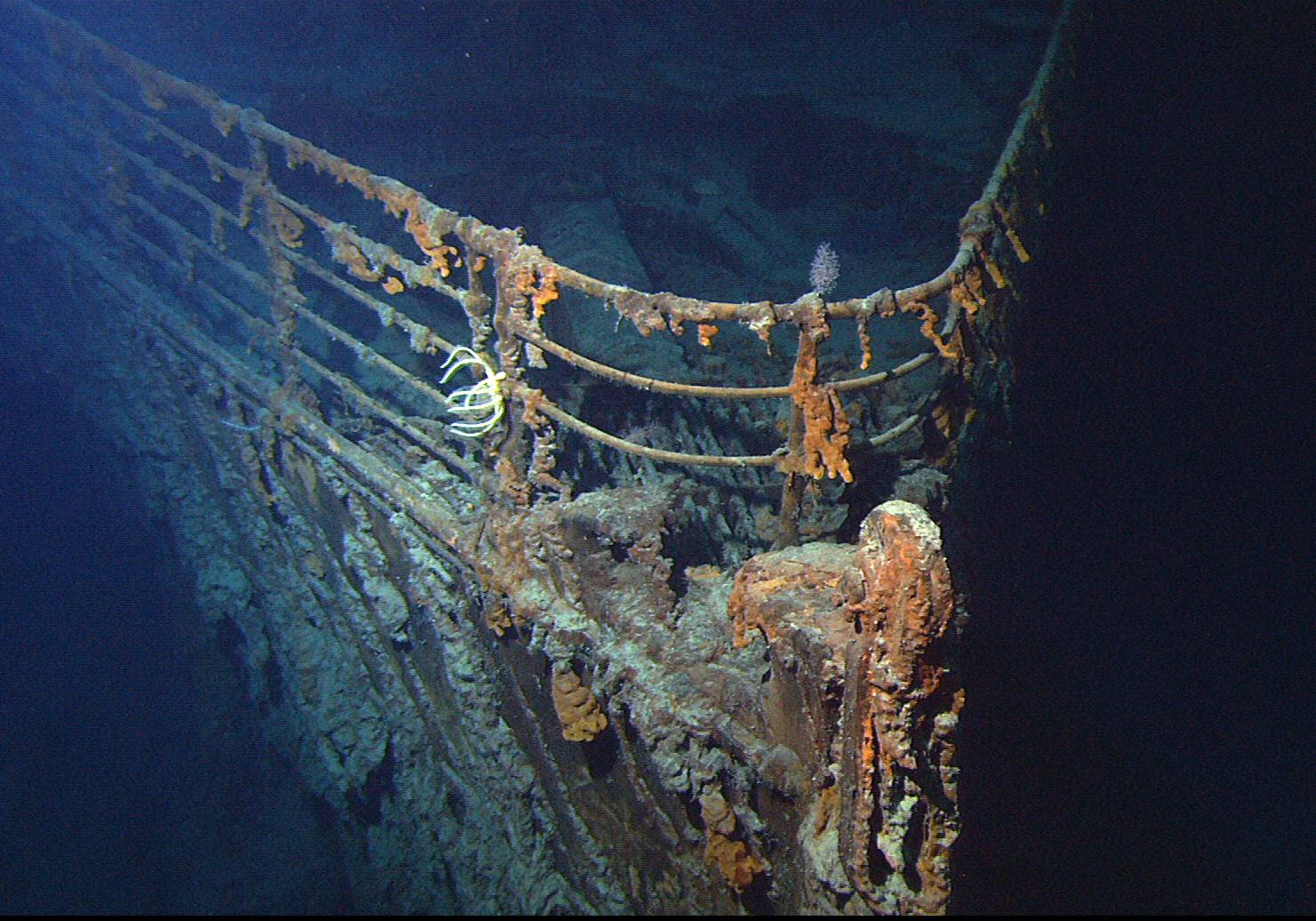 Нос «Титаника», в 488 метрах от которого были обнаружены обломки батискафа