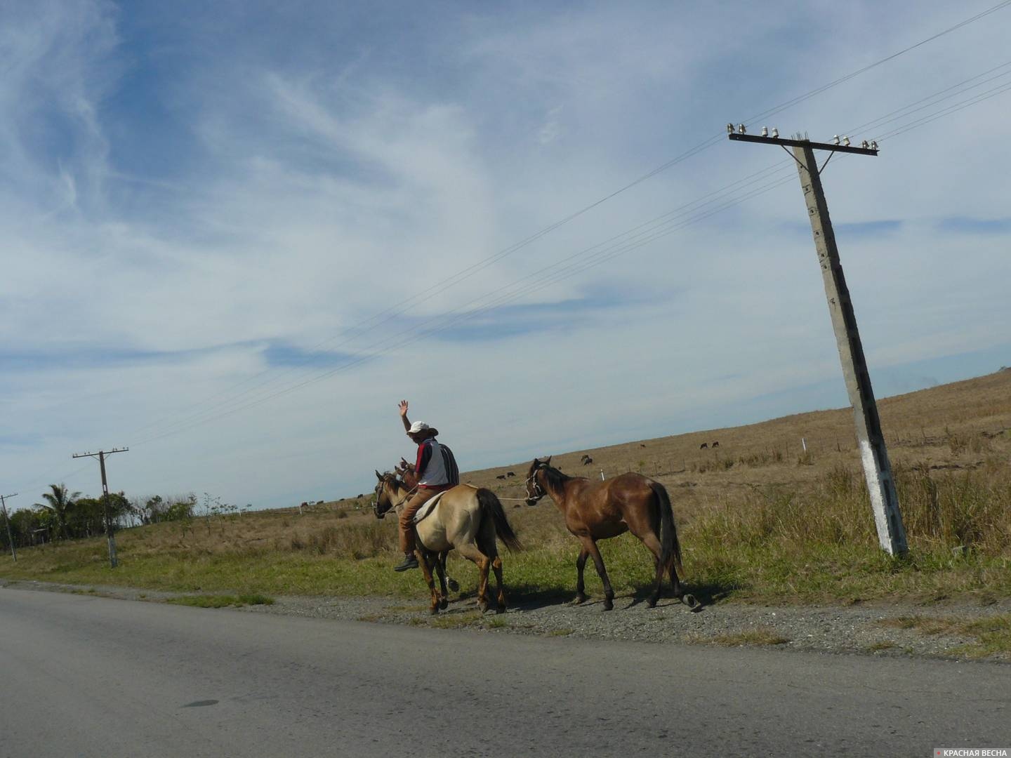 Аграрии Гондураса попросили отремонтировать дороги к плантациям кофе