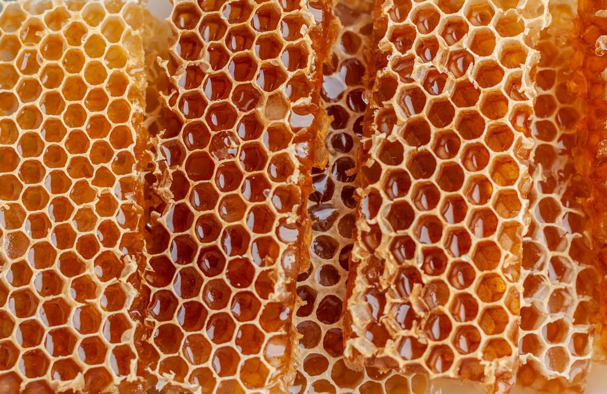 Пчелиные соты с мёдом
