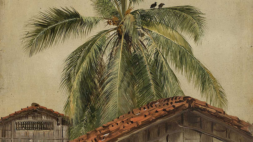 Фредерик Эдвин Чёрч. Пальма над крышами домов, Эквадор (фрагмент). 1857