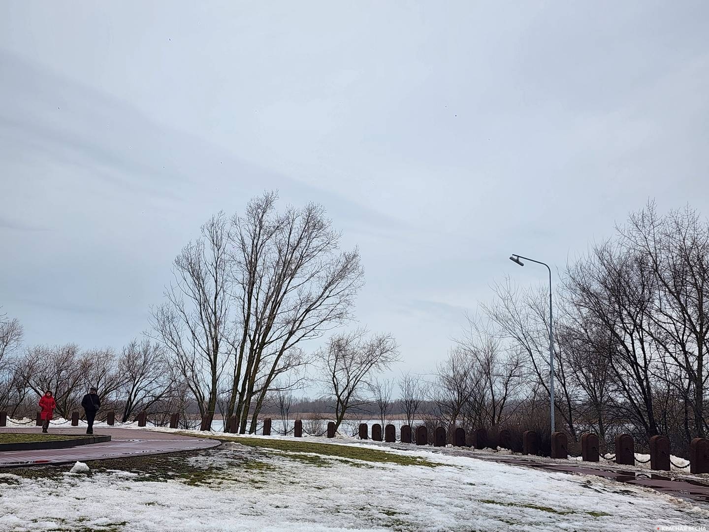 Кумженская роща, Ростов-на-Дону