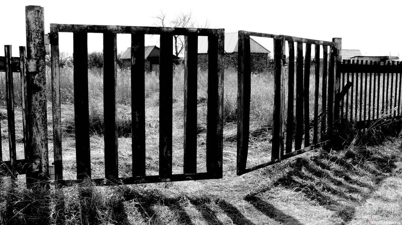 Экстерриториальный патруль: Украина набирает патрульных для Крыма | ИА ...