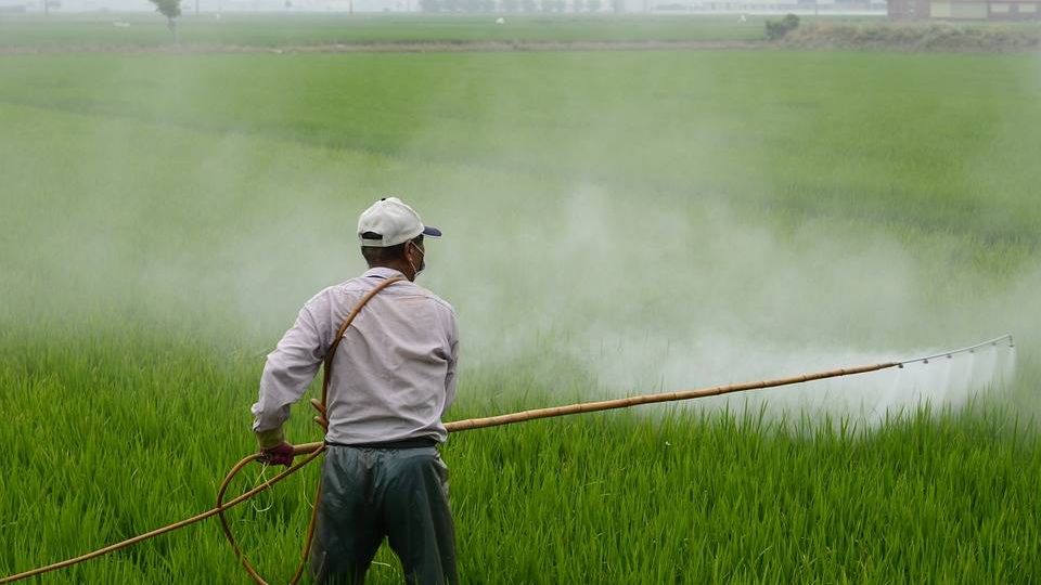 Распыление пестицидов