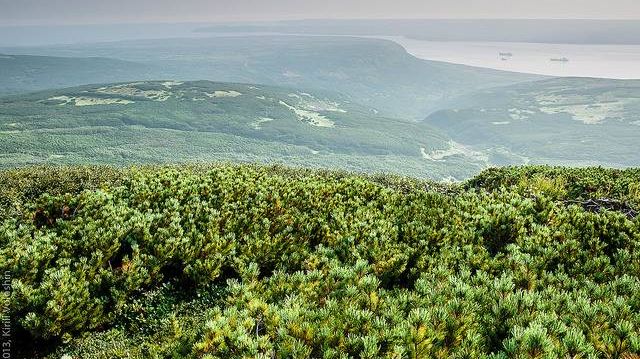 Вид острова Парамуршир