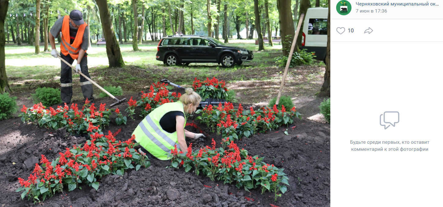 Подготовка к фестивалю «Цветы России» в Черняховске