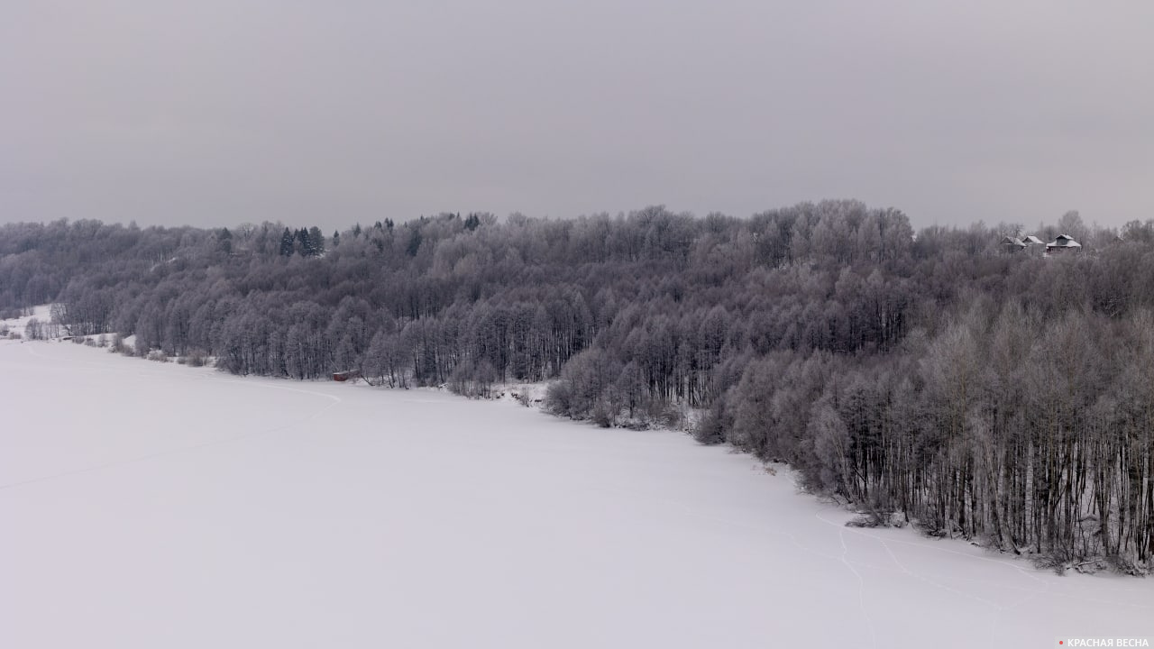Кинешма. Зимний лес