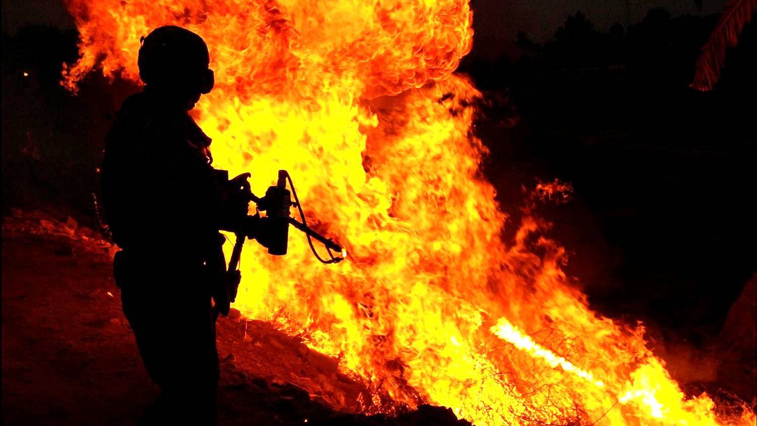 Выжечь до тла