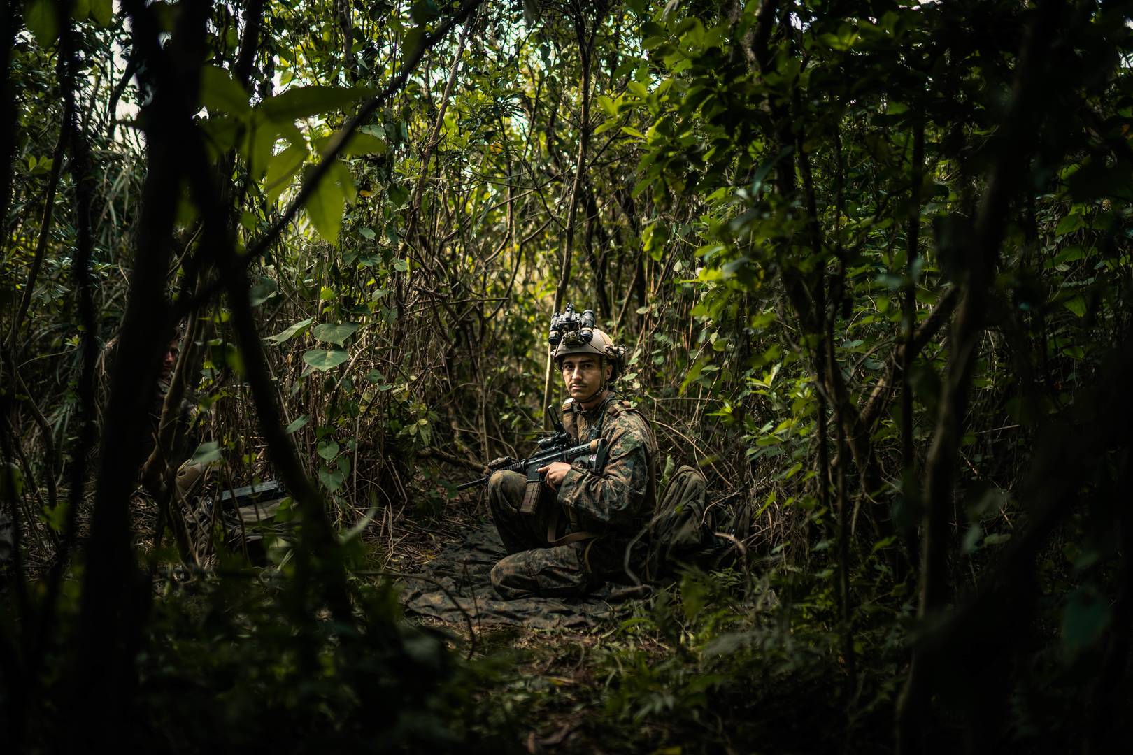 Американский военнослужащий испытывает опасность в окружении дикой природы
