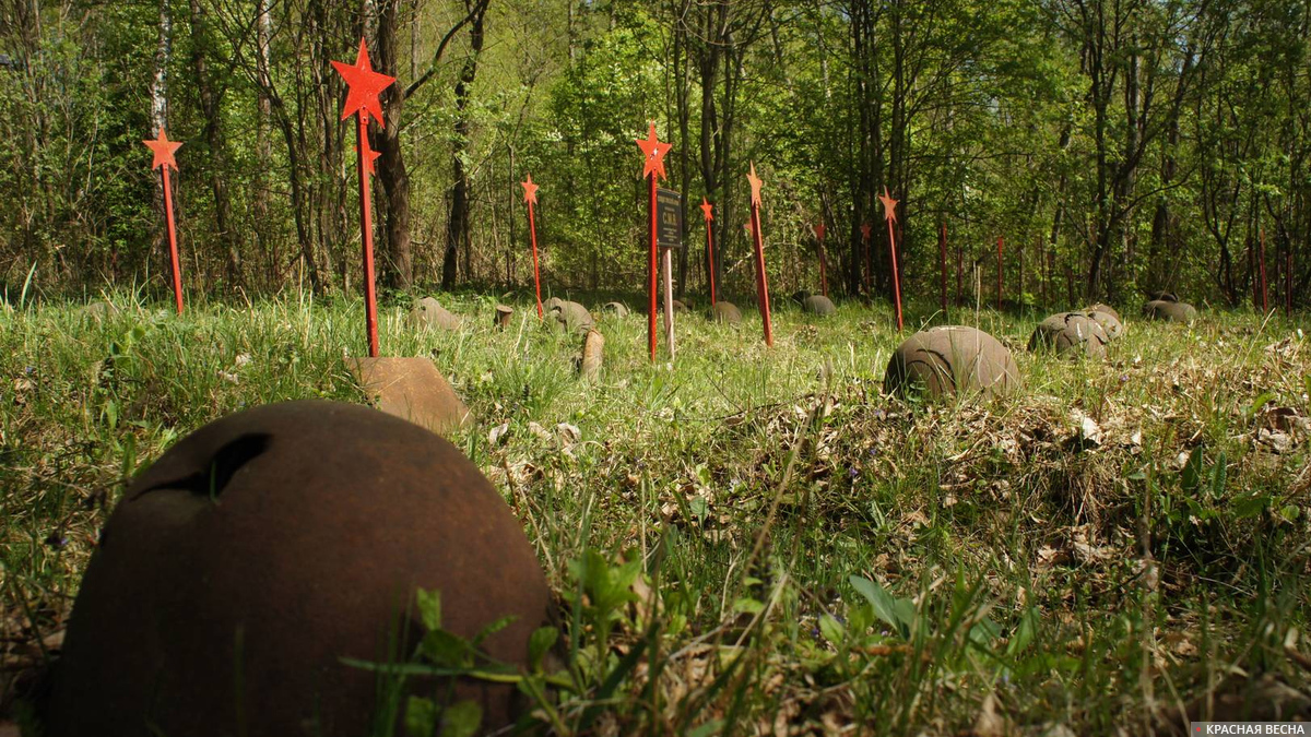Кладбище советских солдат в лесу