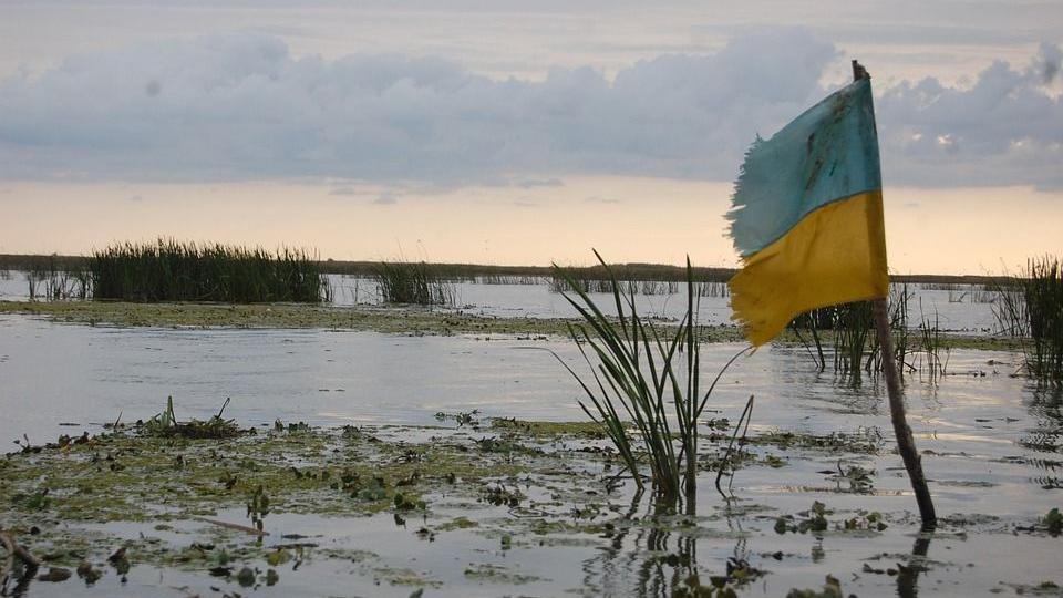 Флаг Украины в болоте