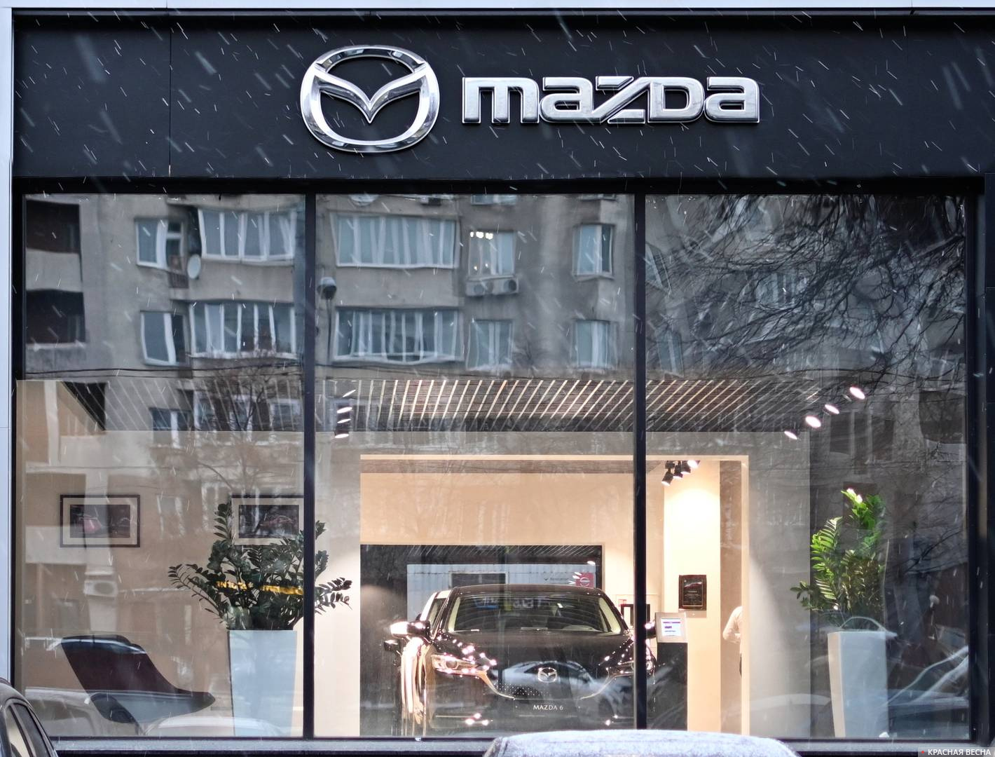 Мазда (MAZDA)