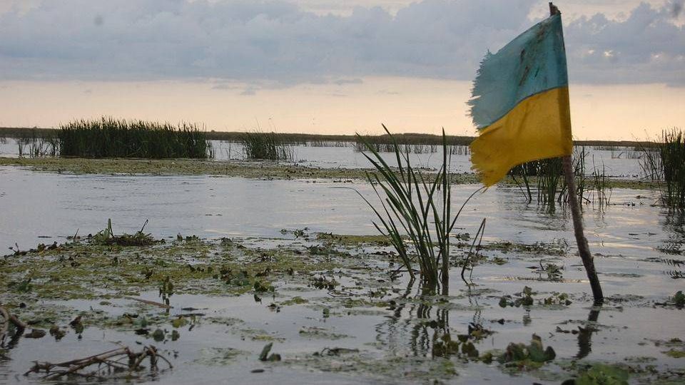 украинский флаг на болоте