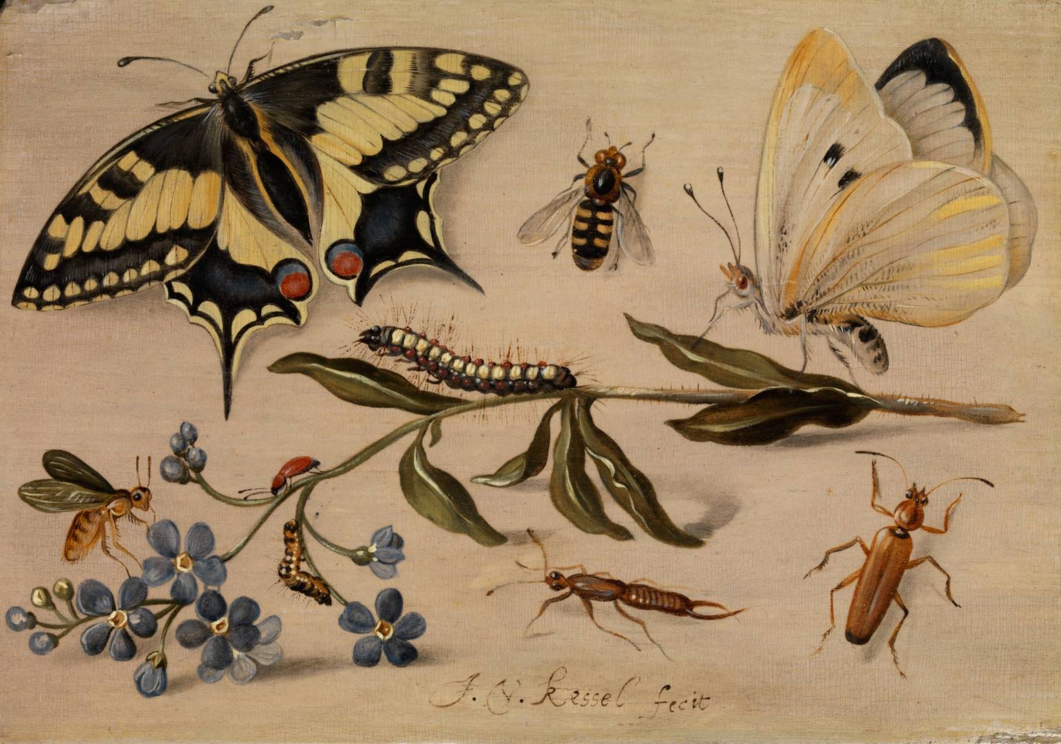  Ян ван Кессель (1626—1679) Цветы и насекомые