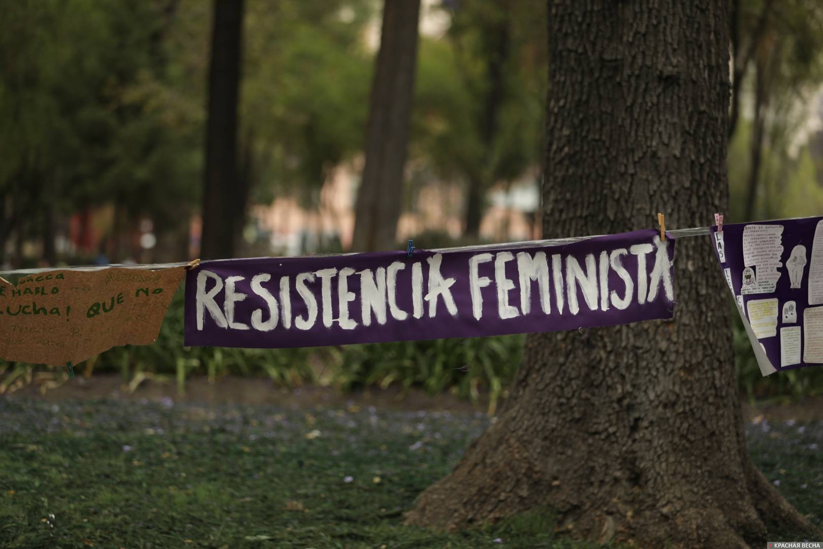 Надпись «феминисткое сопротивление», а также плакаты с призывами рядом с лотками феминисток