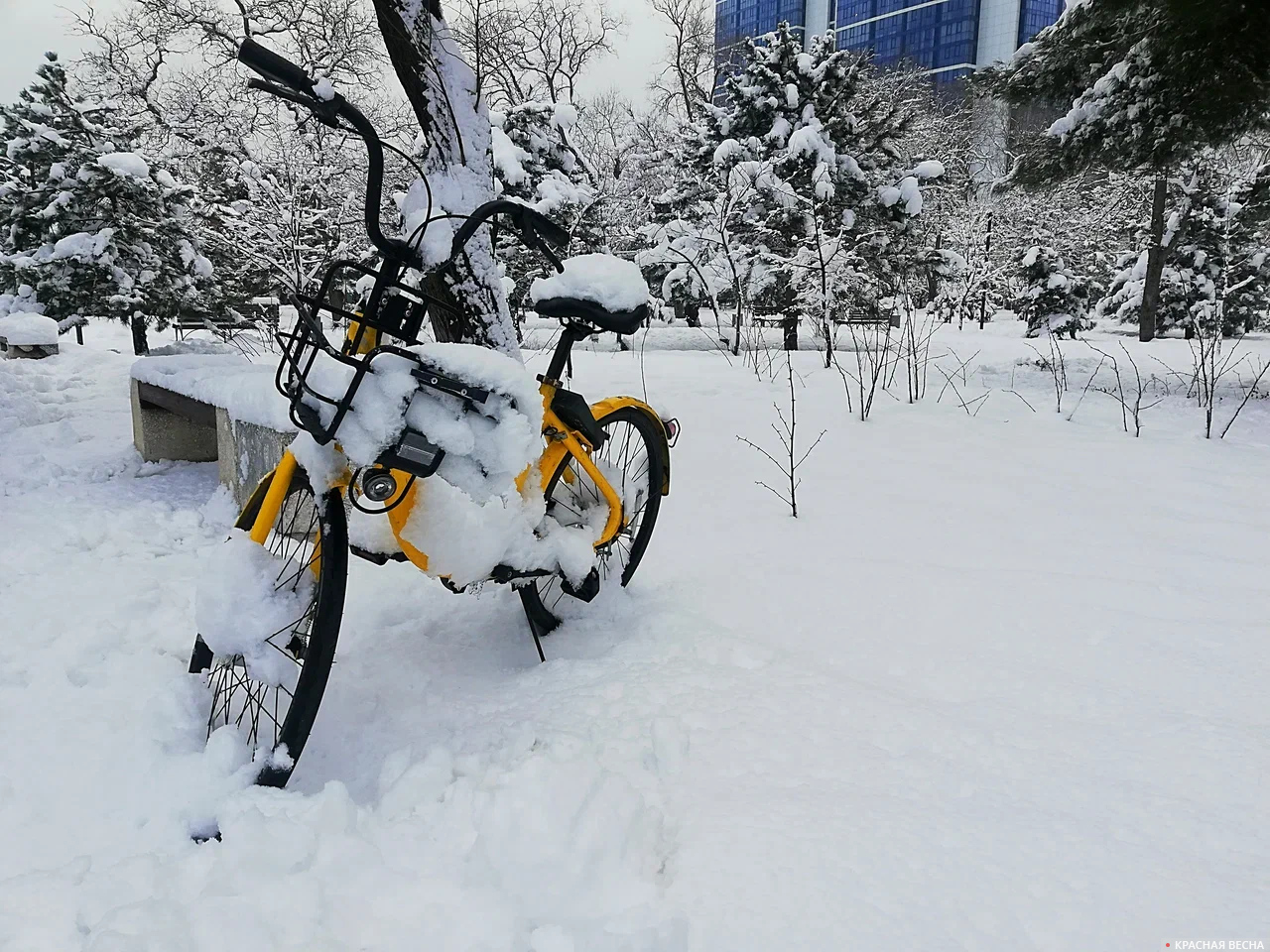 Велосипед в снегу