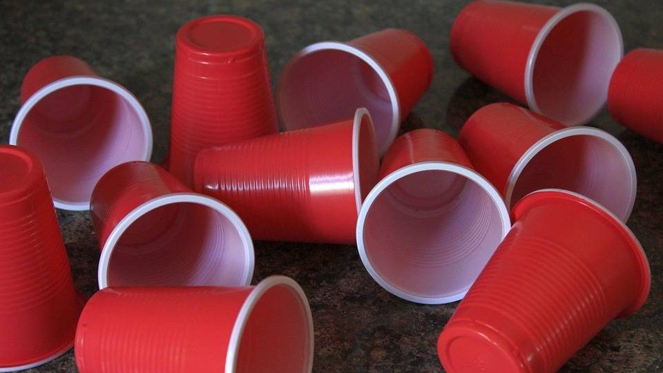 Горсовет Таллина ввел запрет на пластиковую посуду | ИА Красная Весна