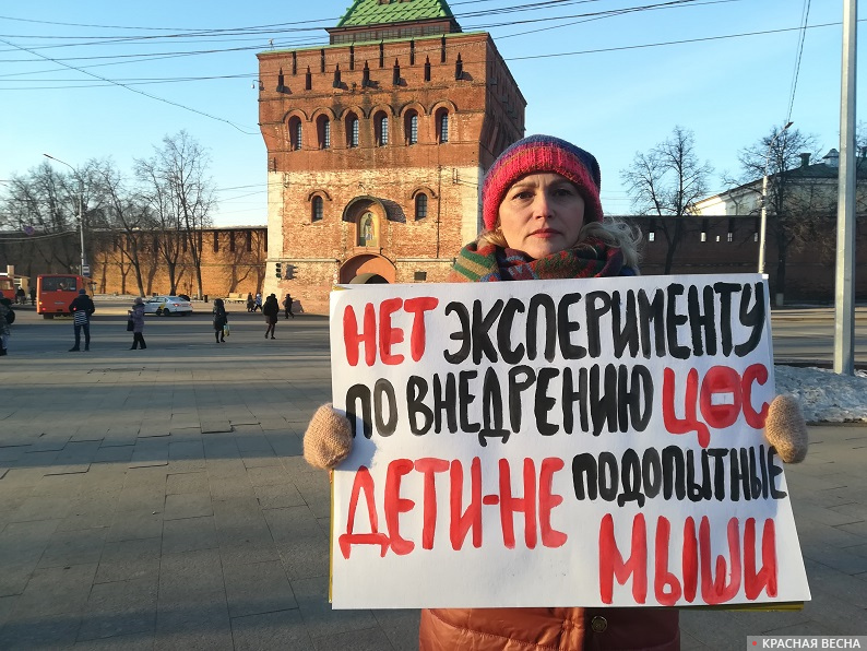 Пикет против дистанционного обучения в Нижнем Новгороде