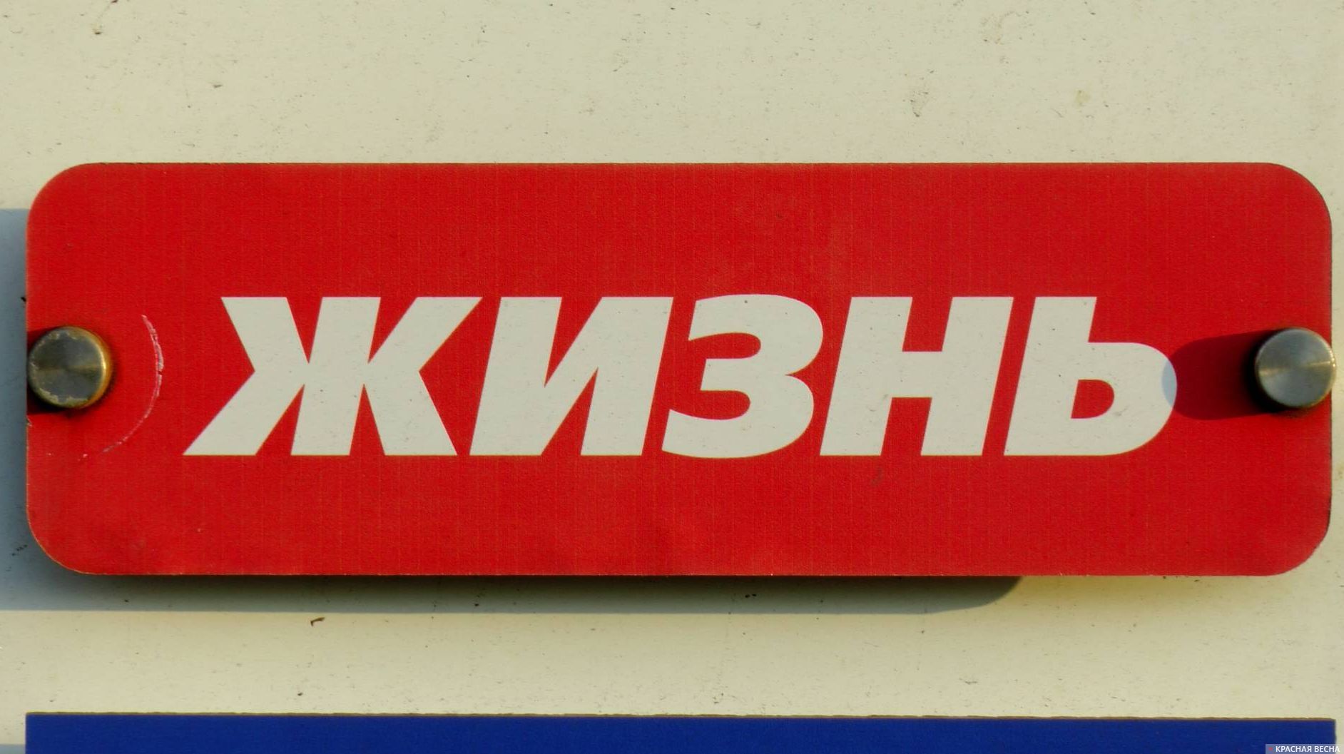 Жизнь