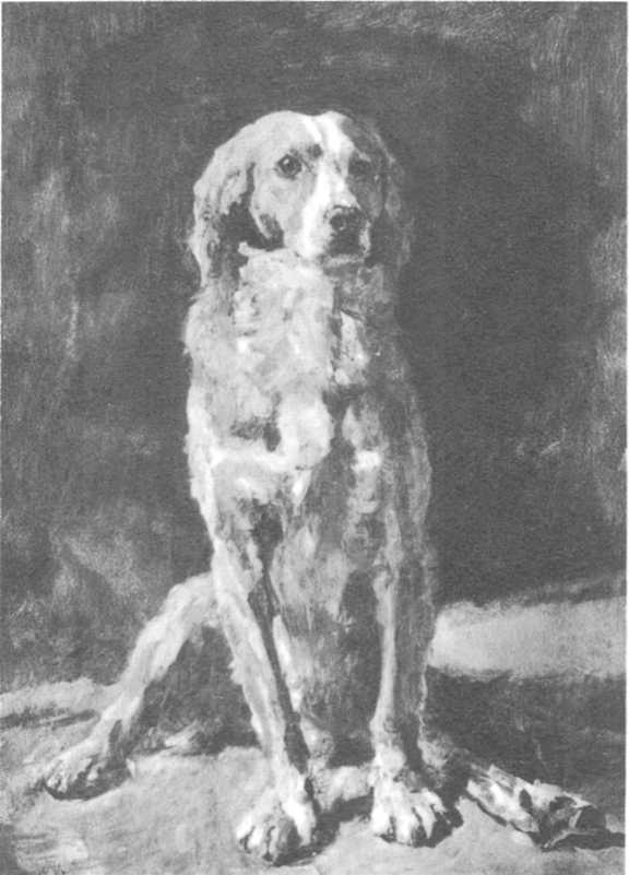 Валентин Серов. Собака Пиратка. 1886