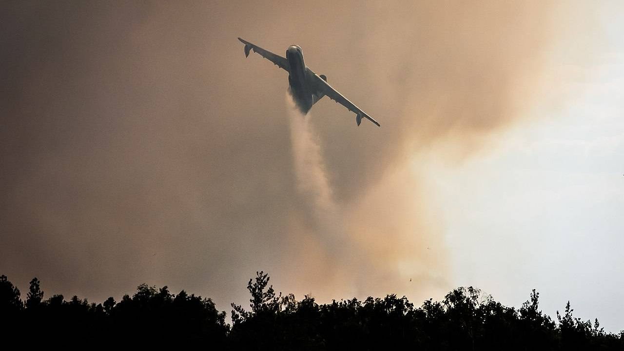 На Чукотку прибыла первая группа специалистов для борьбы с лесными пожарами