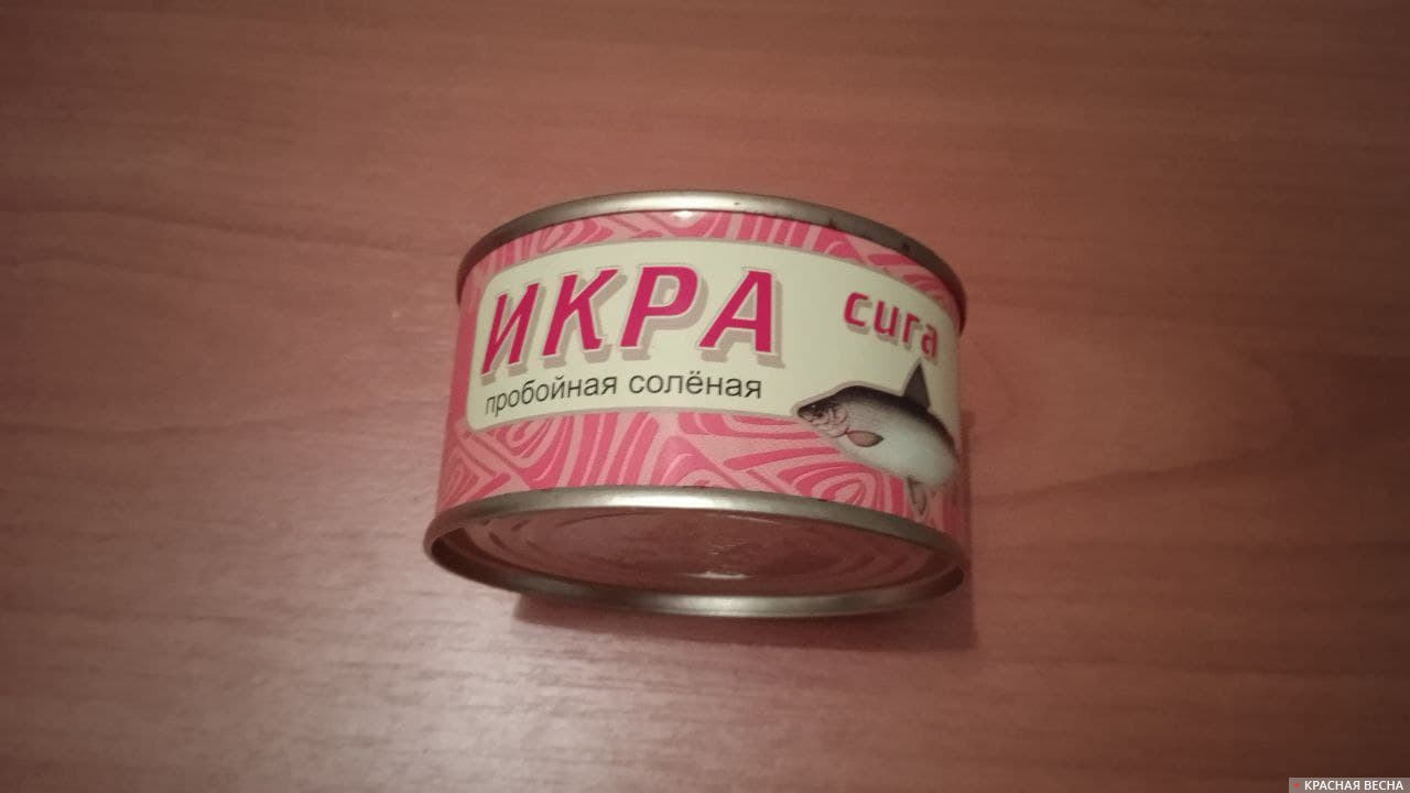 Икра Сига