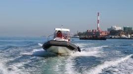 Поисковая группа МЧС за работой