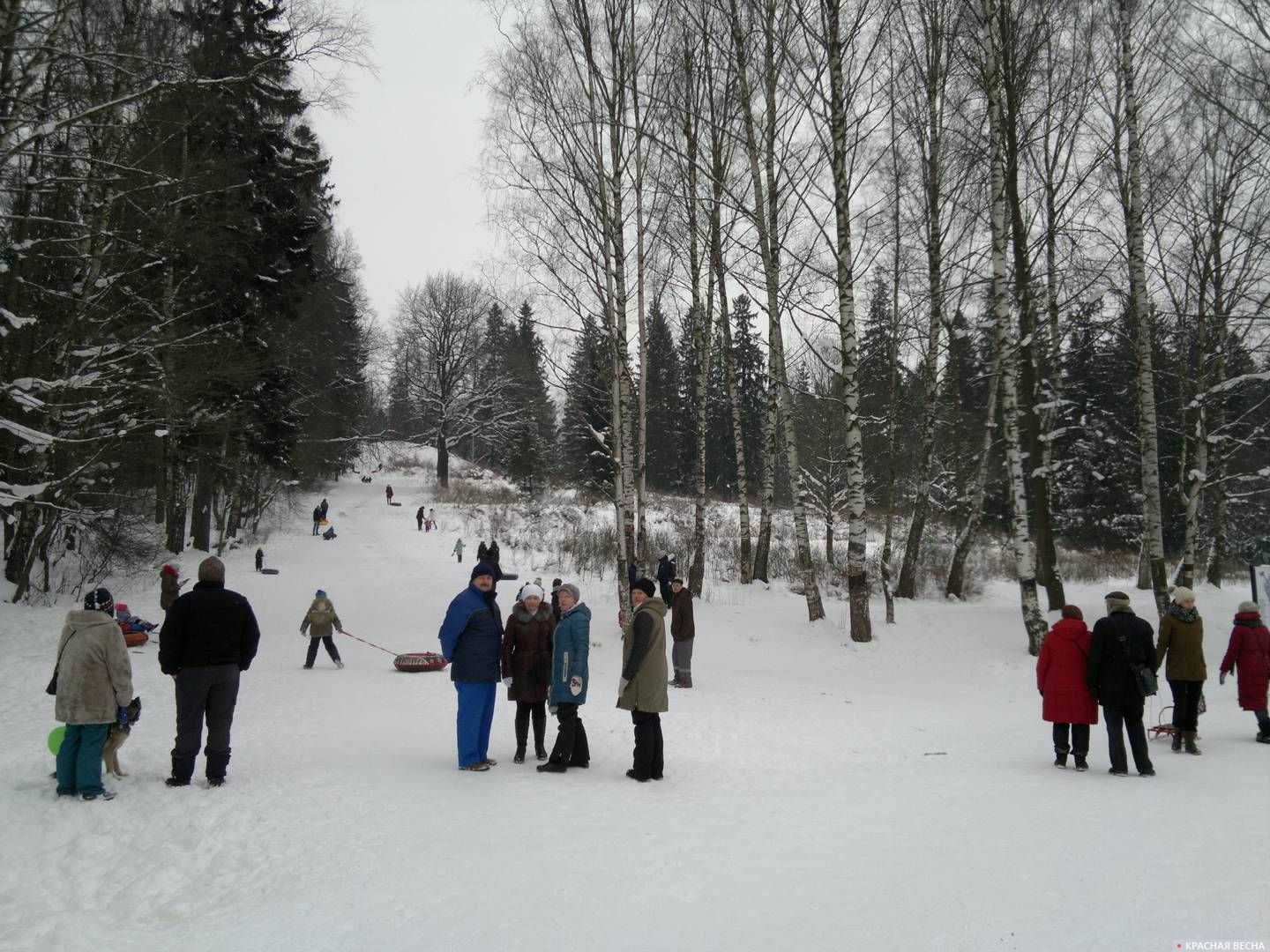Со склонов горы Парнас в Шуваловском парке можно кататься на санках и лыжах