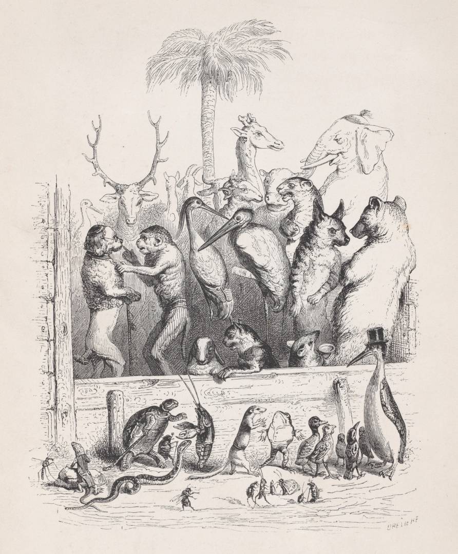 Дж. Дж. Гранвиль. «Этот протест был подавлен шумом частных бесед» из «Сцен из частной и общественной жизни животных». Ок. 1837–1847 гг.