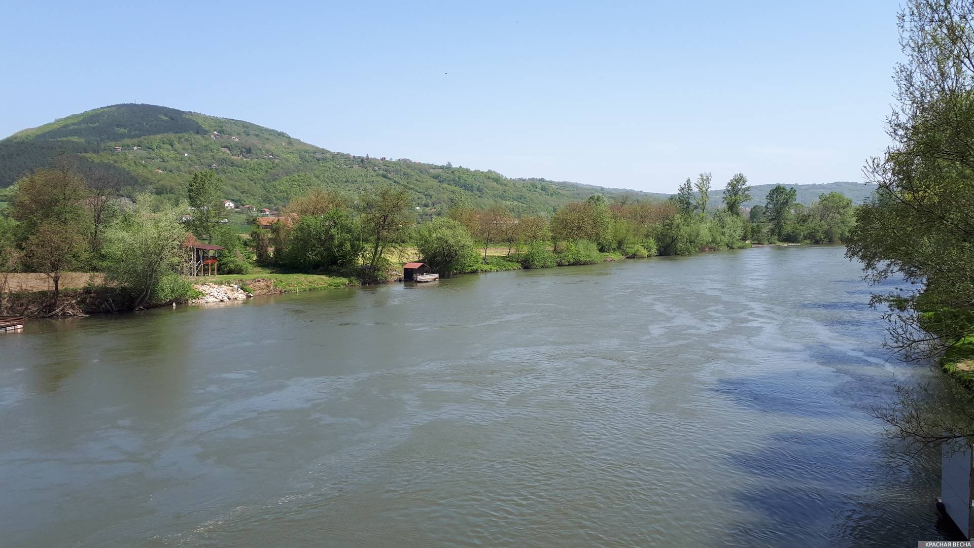 Река Западная Морава. Трстеник. Сербия