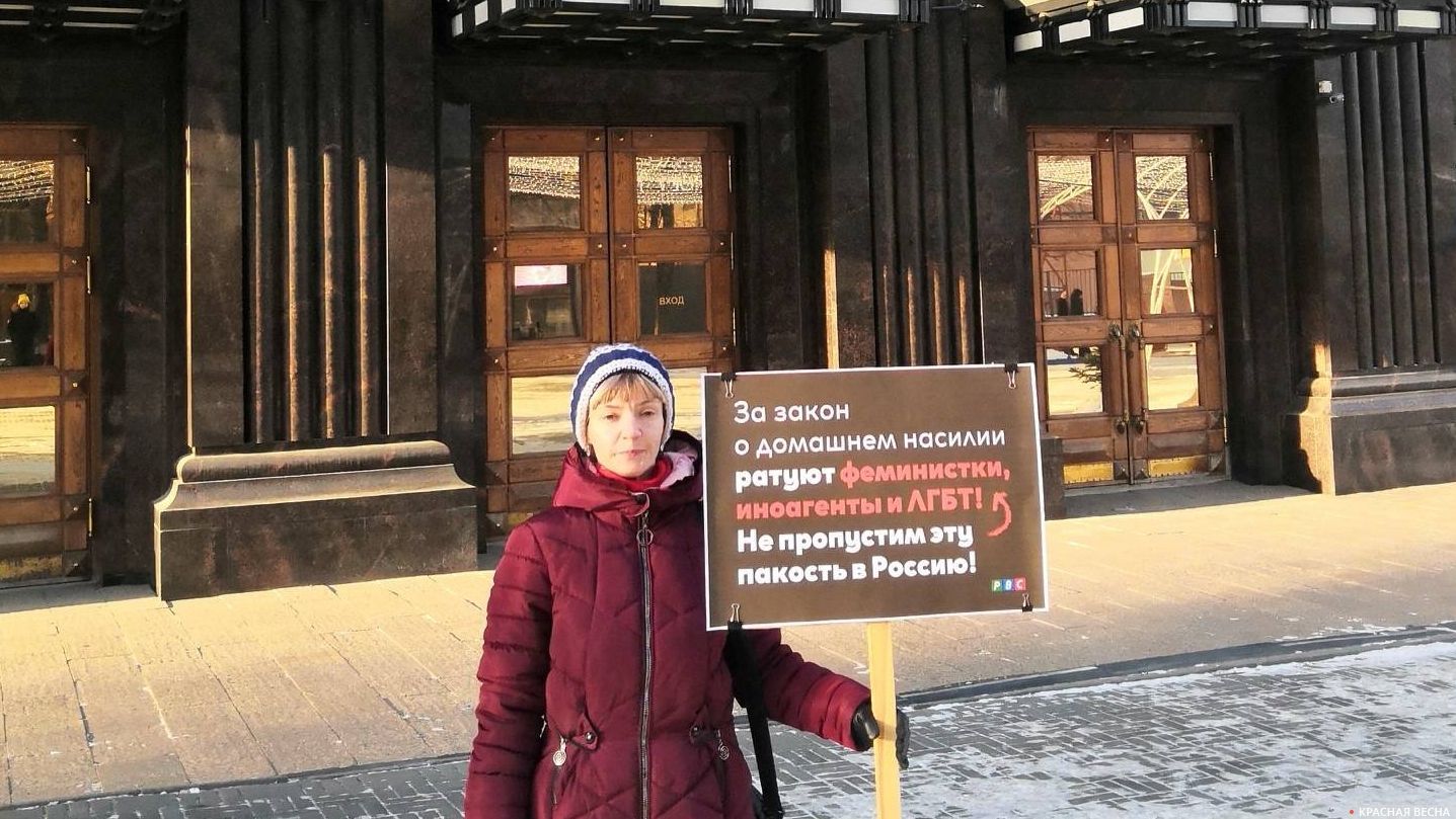 Пикет против закона о семейно-бытовом насилии в Челябинске