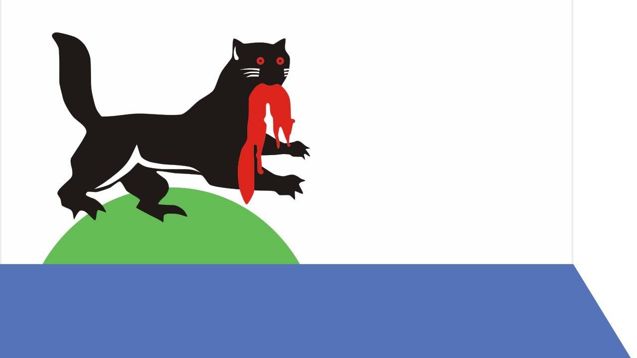 Флаг Иркутска