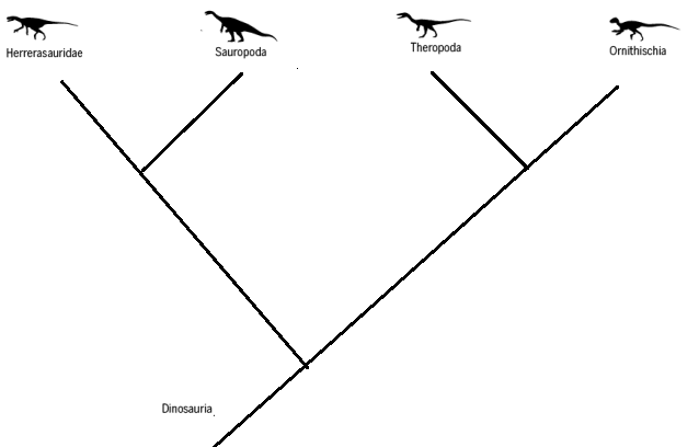 Альтернативное древо эволюции динозавров