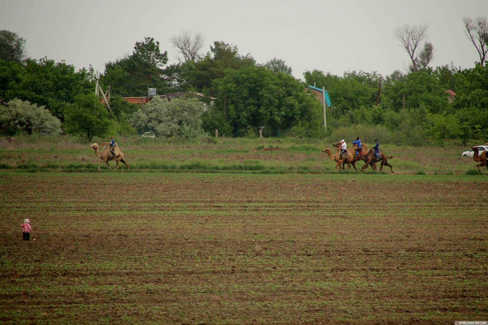 Сабантуй в Астрахани