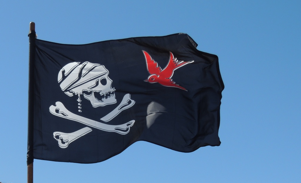 Пиратский флаг [cc0, pxhere.com]