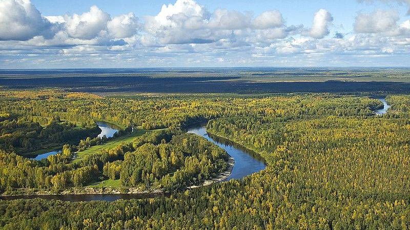 Река Васюган в Томской области, Западная Сибирь